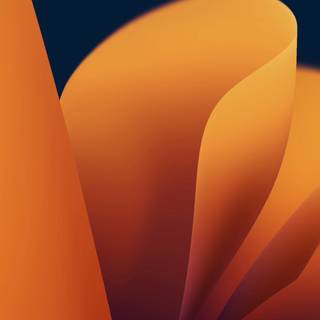 Mac Ventura wallpaper