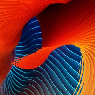 Color portrait wallpaper