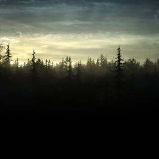 The Elder Scrolls II: Daggerfall wallpaper