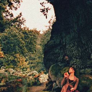 Elizabeth Bennet wallpaper