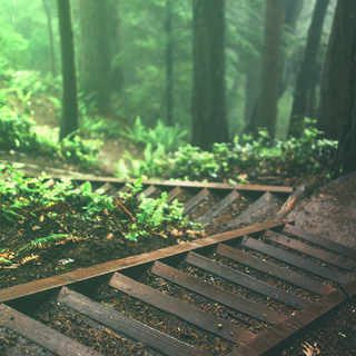 Chill nature wallpaper