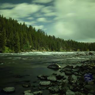 Chill nature wallpaper