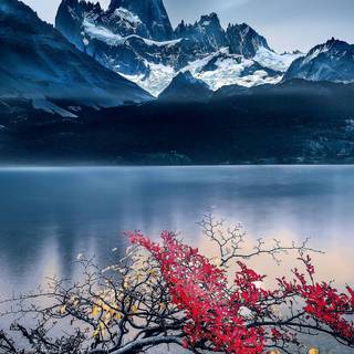 Chill nature wallpaper