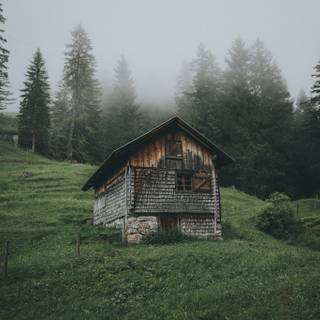 Chill nature wallpaper