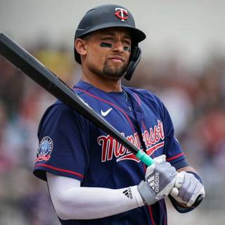 Minnesota Twins players wallpaper