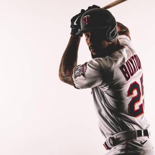 Minnesota Twins players wallpaper