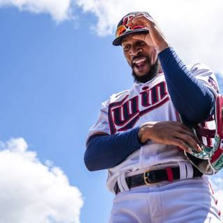 Minnesota Twins players wallpaper