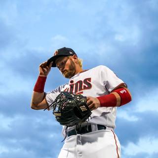 Minnesota Twins players wallpaper