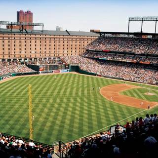 Oriole Park at Camden Yards wallpaper