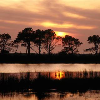 Outer Banks computer wallpaper