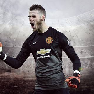De Gea computer wallpaper