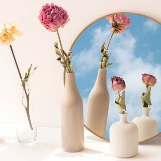 Flower aesthetic desktop wallpaper