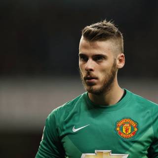 De Gea computer wallpaper