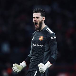 De Gea computer wallpaper
