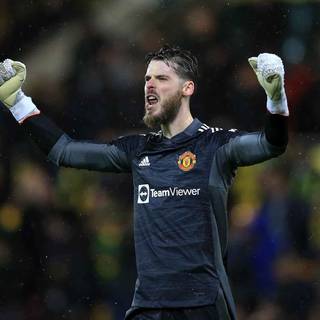 De Gea computer wallpaper