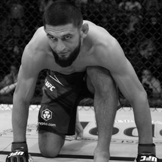 Khamzat Chimaev desktop wallpaper