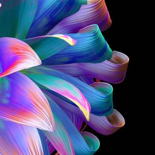 Simple amoled wallpaper