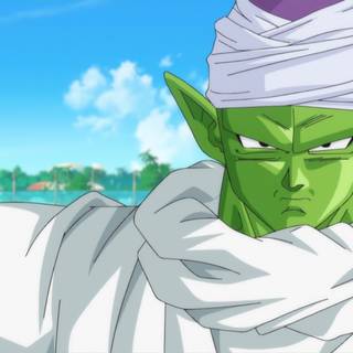 Dragon Ball Z: Battle of Gods wallpaper