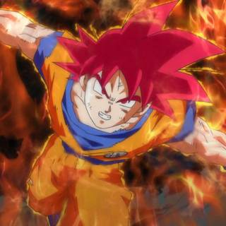 Dragon Ball Z: Battle of Gods wallpaper