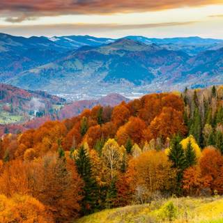 Autumn valley wallpaper