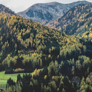 Autumn valley wallpaper