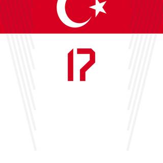 2024 UEFA Euro wallpaper