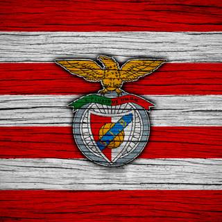 Benfica 4k wallpaper
