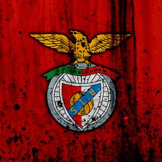 Benfica 4k wallpaper