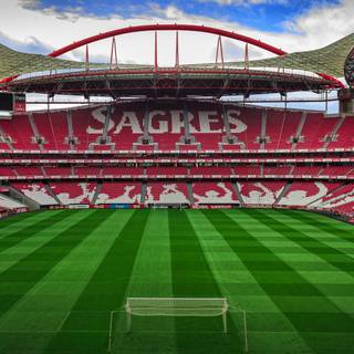 Benfica 4k wallpaper