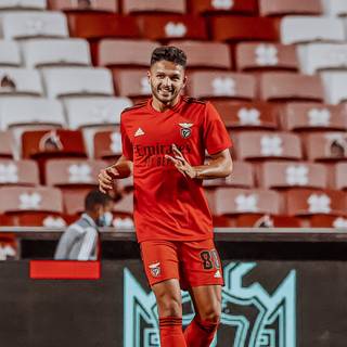 Gonçalo Ramos wallpaper