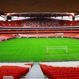 Benfica 4k wallpaper