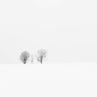 White 4k PC wallpaper