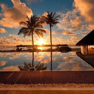 Summer chill out wallpaper