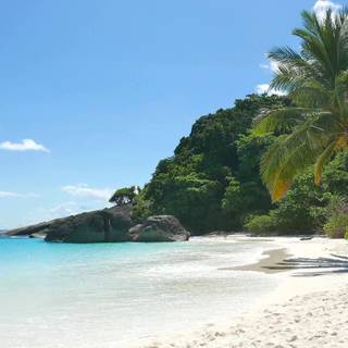 Summer chill out wallpaper