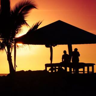 Summer chill out wallpaper