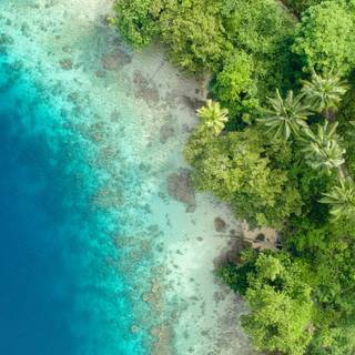 Summer chill out wallpaper