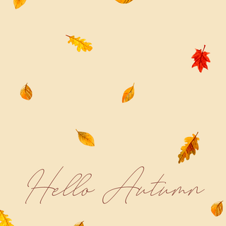 Aesthetic autumn iPhone 12 wallpaper