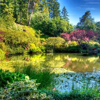 Victoria BC wallpaper