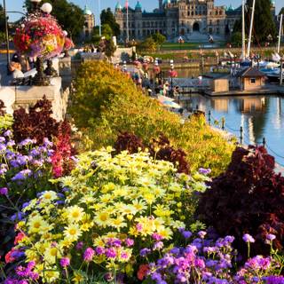 Victoria BC wallpaper
