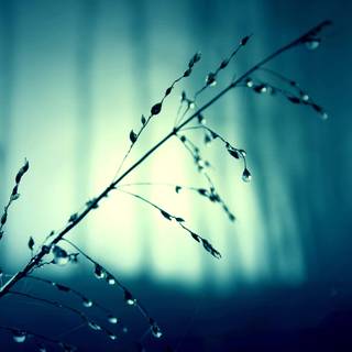 Laptop HD 4k wallpaper