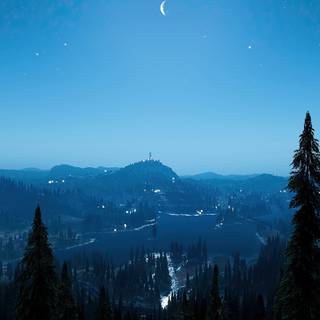 Night forest 4k wallpaper