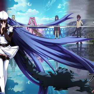 Akame Ga Kill PC wallpaper