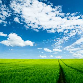 Nature summer landscapes wallpaper