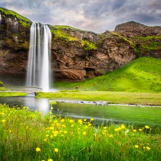 Nature summer landscapes wallpaper