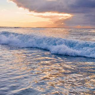 Pacific summer wallpaper