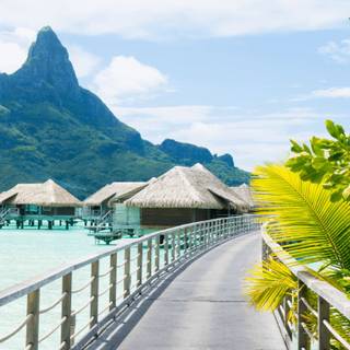 Pacific summer wallpaper