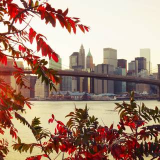 Autumn cities wallpaper