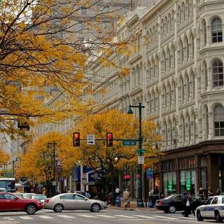 Autumn cities wallpaper