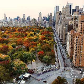 Autumn cities wallpaper