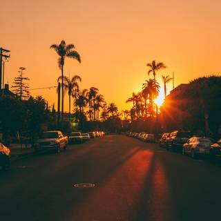 Summer season 4k wallpaper